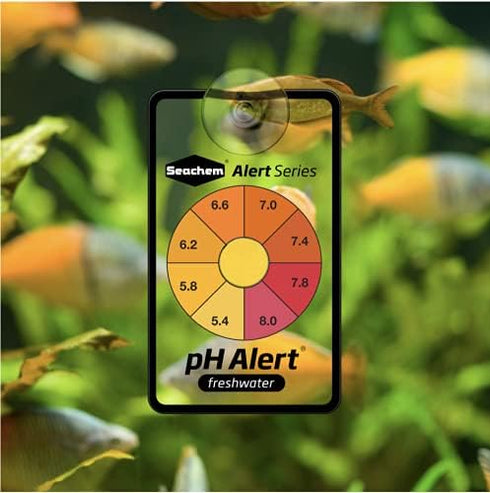 Alert Combo Pack by Seachem, White, 6 x 3 x 4 inches