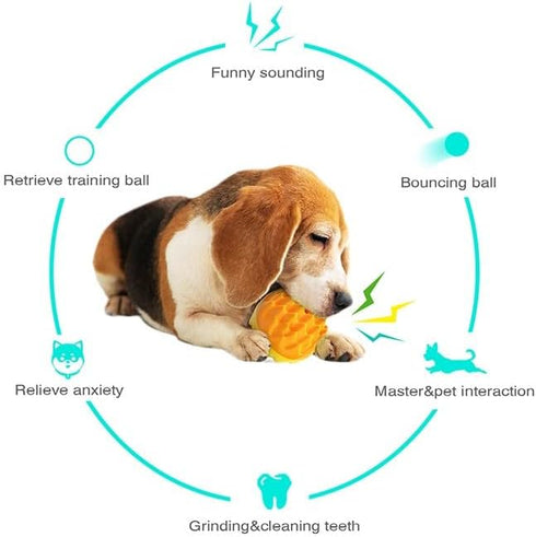 Squeaky Dog Ball Toy for Aggressive Chewers, Dental Rubber Toy for Healthy Teeth & Gums, Durable Floatable Pet Toy