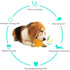 Squeaky Dog Ball Toy for Aggressive Chewers, Dental Rubber Toy for Healthy Teeth & Gums, Durable Floatable Pet Toy