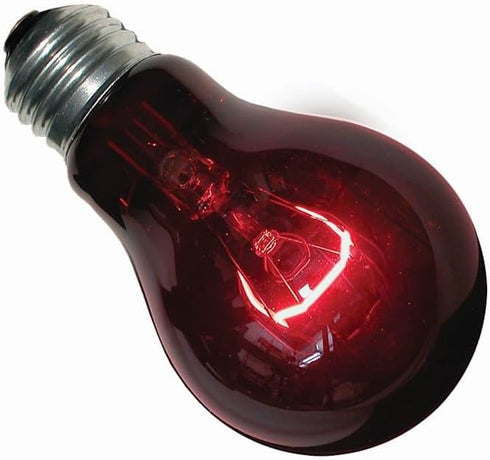 Zoo Med 60 Watt Nightlight Red Reptile Bulb