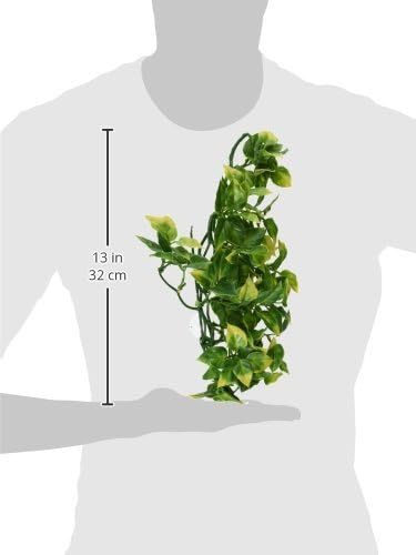Exo Terra Medium Plastic Terrarium Plant, Amapallo
