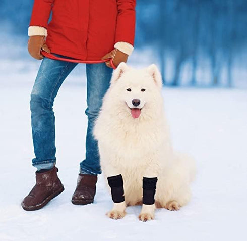 Pair of NeoAlly Dog Front Leg Braces, Canine Carpal Support with Safety Reflective Straps for Front Hock, L/XL Pair