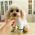 Stock Show Pet Pajama with Hood, Thickened Luxury Soft Cotton Bathrobe, Quick Drying Dog Towel, White, S