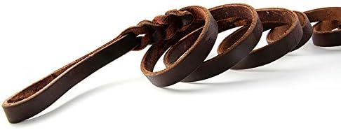 Genuine Leather Dog Leash, 4 Feet Braided Heavy Duty Leash, Soft and Durable for Small Medium Walking and Training