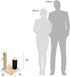 Amazon Basics Cat Scratching Post with Brush, 12.2 x 12.2 x 16.54 inch for Kittens, Beige Color