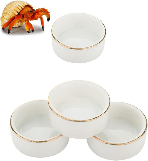 DQITJ 8 Pcs Hermit Crab Ceramic Water Bowl, Tarantula Mini Food Dish for Hermit Crab Tarantula Spider Millipede Tiny
