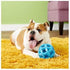 Hol-Ee Mol-Ee Extreme Dog Toy