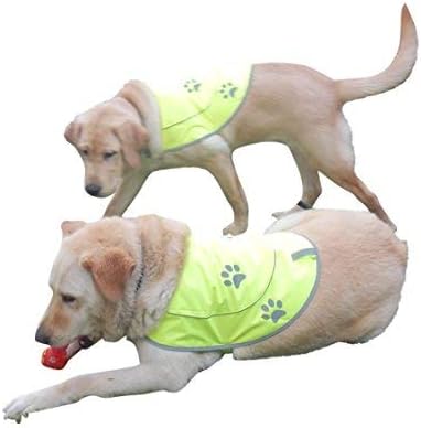 Dog Reflective Vest - Comfortable Safety Jacket, High Visibility for Dogs, Elastic Straps, Clasp Closure - Orange, Large