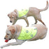 Dog Reflective Vest - Comfortable Safety Jacket, High Visibility for Dogs, Elastic Straps, Clasp Closure - Orange, Large