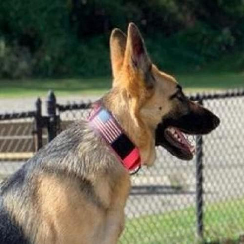 Dog Collars for Large Dogs, 2 Inch Wide Personalized Collar with Metal Buckle, American Flag Patch, Padded