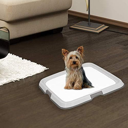 PAWISE Dog Training Pee Pad Holder Tray, Large Indoor Puppy Potty Floor Tray, 24''X24'