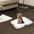 PAWISE Dog Training Pee Pad Holder Tray, Large Indoor Puppy Potty Floor Tray, 24''X24'