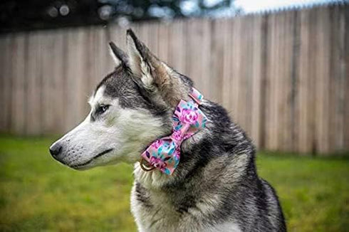 Lionheart Glory Floral Rose Print Dog Collar - Adjustable Soft Collar with Bowtie for X-Small Small Medium Large Dogs
