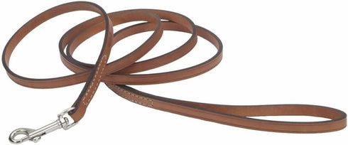 Coastal Pet Circle T Oak Tanned Leather Dog Leash - Durable Full-Grain Leather, Tan, 3/8" x 6'