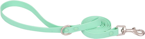 Ovale Waterproof Dog Collar and Leash Combo Set, Durable and Easy to Clean for Small Dogs (S, Light Green)
