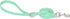 Ovale Waterproof Dog Collar and Leash Combo Set, Durable and Easy to Clean for Small Dogs (S, Light Green)