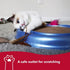 Coastal Pet Turbo Scratcher Cat Toy, Cardboard Scratcher Pad with Toy Ball Track & Catnip