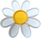 Hermit Crab Daisy Food Tray | 9 Dividers Daisy Design | Great