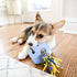 Zippy Paws Zp425 Teetherz Elliot The Elephant Dog Toy