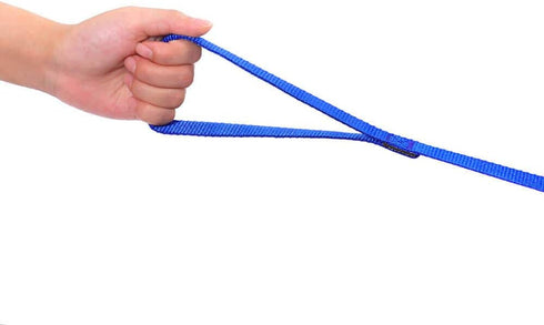 AmaGood Dog/Puppy Obedience Recall Training Agility Lead - 15 ft, 20 ft, 30 ft, 50 ft Long Leash, Blue