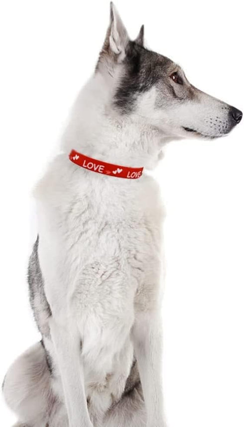 2 Pack Valentine’s Day Dog Collar, Adjustable Heavy Duty Nylon Holiday Pet Collars in Red and Pink (Large)