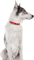 2 Pack Valentine’s Day Dog Collar, Adjustable Heavy Duty Nylon Holiday Pet Collars in Red and Pink (Large)