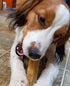 Yeti Dog Chew - Healthy Long Lasting Yak Cheese Chews for Large, Medium, Small Dogs - 7 oz