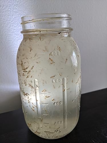 Demeter Biosciences 12.5g 32oz Live Brine Shrimp by Demeter Bio, Mixed Size brine Shrimp Shipped in of Liquid - Arrive