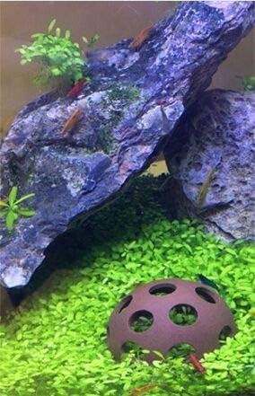 3Pcs Aquarium Ceramic Small Fish Shrimp Crayfish Breeding Rock Cave Shelter, Hiding Spots