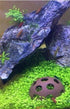 3Pcs Aquarium Ceramic Small Fish Shrimp Crayfish Breeding Rock Cave Shelter, Hiding Spots
