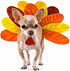 Blue Dog Bakery Pun'Kin Softies, Pumpkin Flavor, 10 Ounces
