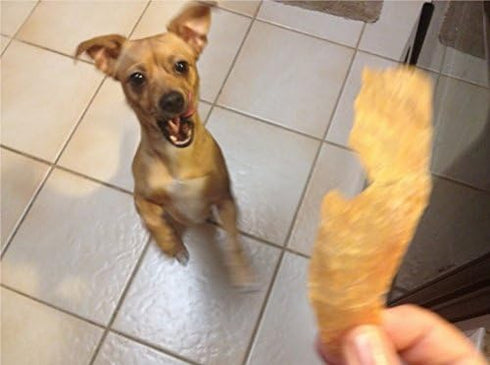 All Natural Chicken Jerky Dog Treats, Real Chicken, Made in USA, No Chemicals