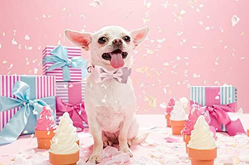 Unique style paws Pink Silk Dog Collar with Bow, Soft Adjustable Bowtie Gift for Large Female Dogs