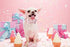 Unique style paws Pink Silk Dog Collar with Bow, Soft Adjustable Bowtie Gift for Large Female Dogs