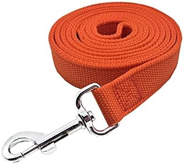 Strong Nylon Dog Leash, 4 FT/ 6 FT/ 7FT Long, 1 Inch Wide for Medium Large Dogs (Orange, 1'' x 2 FT)