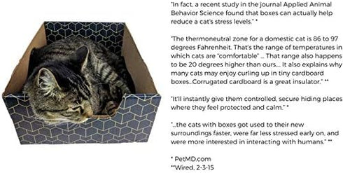 Modern Cat Box Lounger with Peek-a-Boo Cutout, Premium Corrugated Cardboard Bed for Kittens and Small Pets, Blue