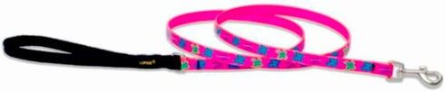 LupinePet Originals 1/2" Wing It, 6-foot Padded Handle Leash for Small Pets