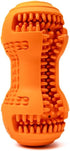 Fillable Dog Chew Toy for Teeth Cleaning, Use with Peanut Butter or Toothpaste for Aggressive Chewers