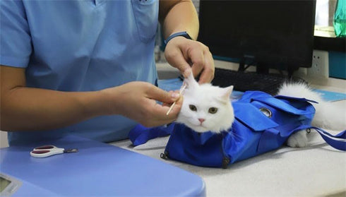 Trimming 17" 10" 8-12 lbs Pet Grooming Bag for Nail & Anti-Scratching Restraint Cat/Dog for Claw Care, Medical Exams, L