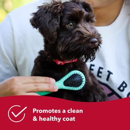 Coastal Pet Li'l Pals Dog Combo Brush - Grooming Brush for Small Dogs, One Size