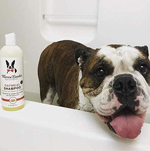 1 Warren London Oatmeal Dog Shampoo - Fast Itch Relief for Dry, Sensitive, & Irritated Skin - Infused with Vitamins
