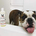 1 Warren London Oatmeal Dog Shampoo - Fast Itch Relief for Dry, Sensitive, & Irritated Skin - Infused with Vitamins