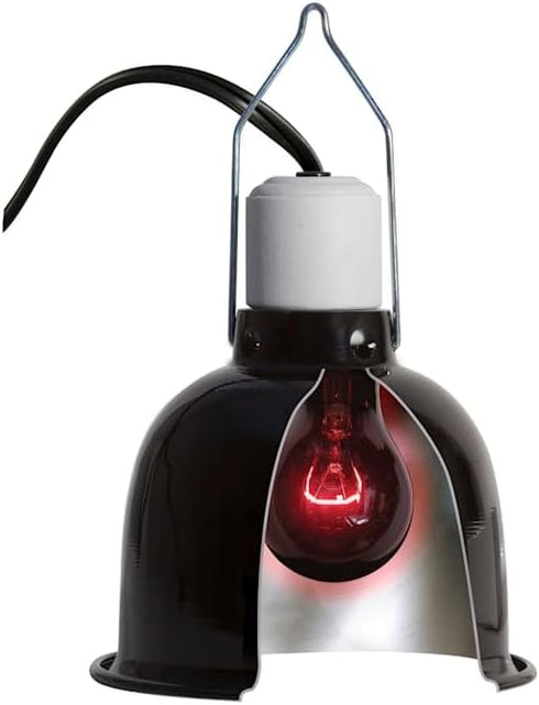 Zoo Med 60 Watt Nightlight Red Reptile Bulb