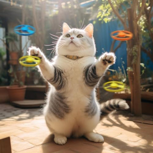 1 5 Flying Cat Toys, Interactive Cat Fetch Toy with Light Up Spinning Tops, and Flying Propellers, Flying dis Toy