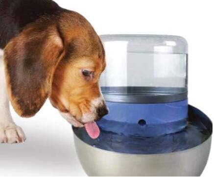Pioneer Pet 3 Pack T-Shaped Filter for Food, Water and Serene Fountain
