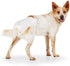 Count 12 So Phresh by Petco Leak Guard Disposable Pet Diapers Large/X-Large