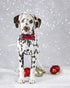 Unique style paws Adjustable Christmas Dog and Cat Collar with Bow, Soft and Comfy Bowtie Collars for Small Medium