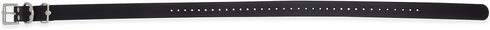 Educator Biothane Dog Collar, Black, 1-Inch, Adjustable, Waterproof, Odorproof, Metal Buckle, D Ring for Dogs