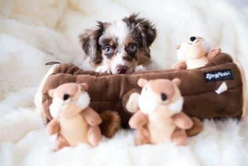 ZippyPaws Burrow- Interactive Dog & Puppy Toys for Boredom, Stimulating Pet Products to Keep them Busy, Hide & Seek