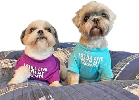 Cute Dog T Shirt for Medium Dogs, Breathable Soft Dog Clothes for Small Dogs, Pet Pullover Jumper (Aqua)